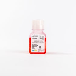 MP Biomedicals™ 0.25% Trypsin-EDTA (1X)